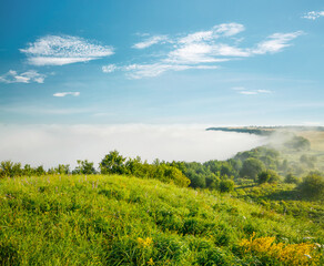 Fototapeta premium Fantastic day with green hills and cultivated fields. Picturesque summer scene.