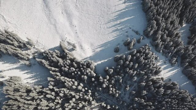 Top dowm mountain village at snow fir forest aerial. Nobody nature landscape at winter sunny day. Sun over conifer trees. Cottages at snowy valley. Frost Carpathian mount, Bukovel, Ukraine, Europe