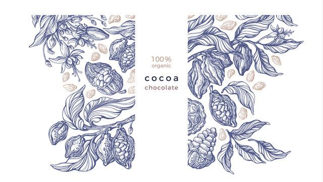 Cocoa template Vector hand drawn tree, bean, fruit