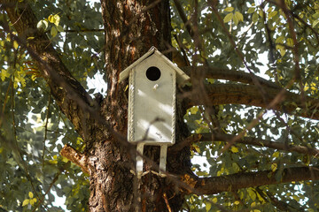 Birdhouse hanging on a tree. Around the foliage and branches. Bird house close-up.