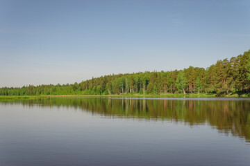 lake in the forest