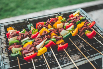 shish kebab on the grill