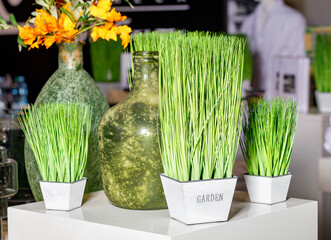 Elements of spring interior decor, green grass in white pots against the background of old bottle vases as part of the interior decoration.