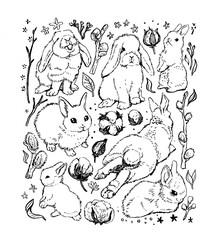 coloring spring rabbits. set of illustrations
