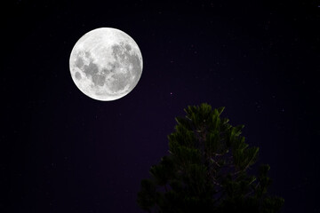Fototapeta na wymiar Full moon on the sky with real stars at night.