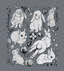 set of illustrations with rabbits and cotton