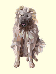 Fluffy dog low poly. Vector illustration