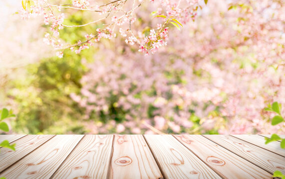 Empty wooden table in Sakura flower Park with garden bokeh background with  a country outdoor theme, Template mock up for display of product Stock  Photo | Adobe Stock