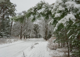 Obraz premium Snowy road in a winter.
