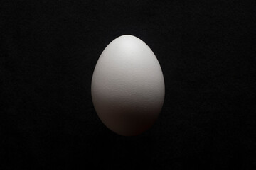 Egg on a dark background.