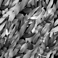 Obraz premium Floral background. Endless interweaving of dark silvery twigs with leaves. Diagonal pattern. Black background.