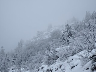 vercors