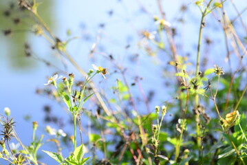 A landscape photo taken in Vietnam