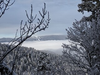 vercors