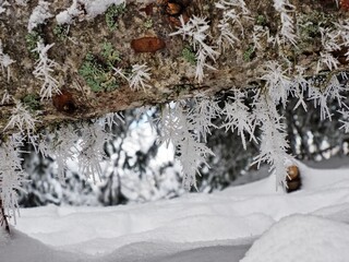 vercors