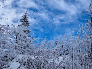 vercors