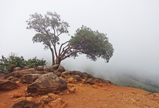 beautiful mountain range of karnataka,south,india