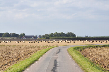Road through farmland with bales of hay