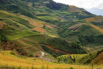 Naklejka premium A landscape photo taken in Vietnam