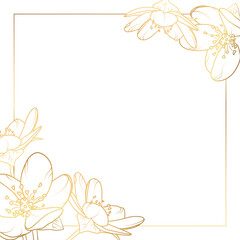 Cherry sakura flowers bloom blossom. Square card border frame template decoration. Luxury shiny golden glow outline. - 404897683