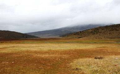 Andes landscape near Cotopaxi volcano in Ecuador