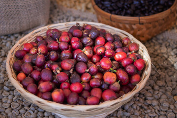 Red coffee berries in basket