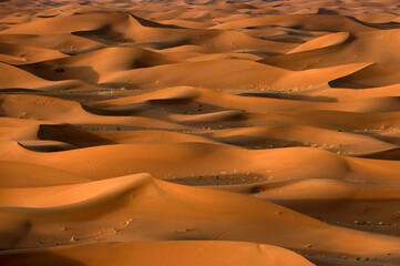 Fototapeta na wymiar Sand dunes of Erg Chigaga in Sahara Desert, Africa