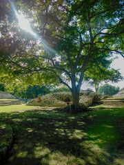 Fototapeta premium Naturaleza y arqueologia en Campeche