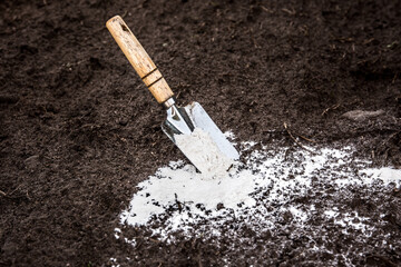 Gardener mixing dolomitic limestone powder in garden soil to change the pH ant to provide more...
