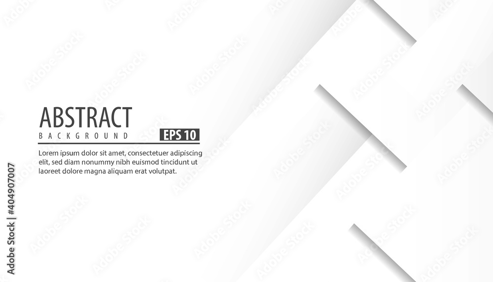 Wall mural abstract white and gray gradient background. abstract geo6 design background.vector illustration.