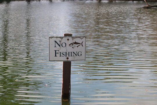 No Fishing Sign In The Water with Fish Image
