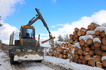 tractor apilando troncos  cortados de árbol invierno país vasco 4M0A6570-as21