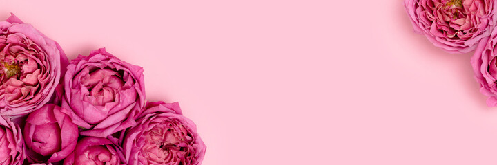 Banner with frame made of rose flowers on a pink background. Spring concept with copyspace. Floral gentle composition.