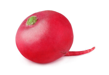 Radish isolated on a white background