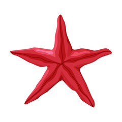 Starfish as Travel and Tourism Attribute Vector Illustration