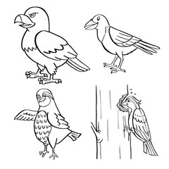 Hand drawn Birds Collection Coloring  page for kids