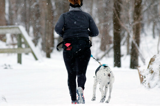 une coureuse avec un chien dans bois&eacute; enneig&eacute;e en hiver