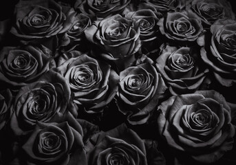 Background from black roses. Greeting card for the holiday. Bouquet of black roses