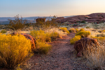 Sunset desert trail.  © Zack