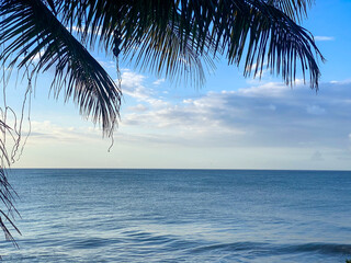 Naklejka premium Tropical turquoise sea of Reunion island, white sand and palm tree