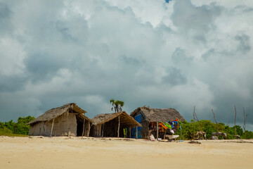 old wicker African huts and palms on the ocean