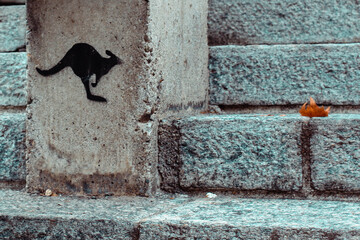 Kangaroo drawing on rocky stairs