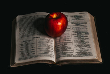 book and apple, holy bible, apple, bible 