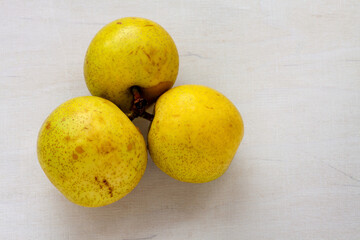 Bowl with Asian Pear Shinseiki (Pyrus pyrifolia) pile. Fresh, tasty fruits from own garden.