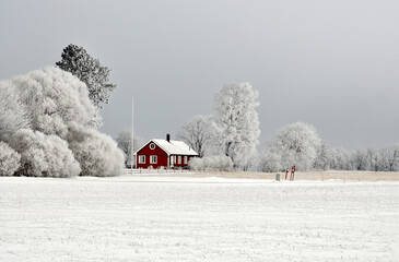 Red cottage in winter landscape