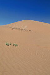 Fototapeta na wymiar Sand peak-steep slope-shifting top of megadune-Badain Jaran Desert. Inner Mongolia-China-1213