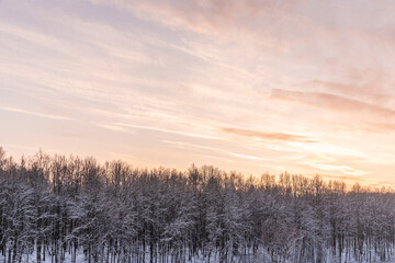 sunset sky over winter forest golden hour
