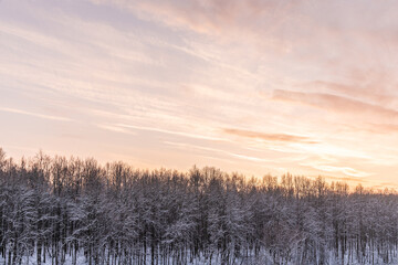 Naklejka na ściany i meble sunset sky over winter forest golden hour