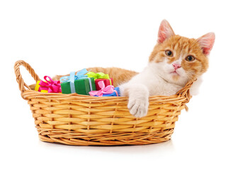 Fototapeta na wymiar Kitten in the basket and gifts.