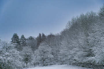 Schneelandschaft im Oberbergischen